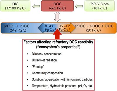 What Is Refractory Organic Matter in the Ocean?